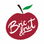BricFruit2